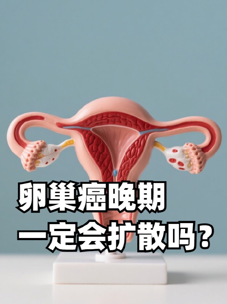 f26ff65d3ed10410a6a4247cdb770de2.jpg