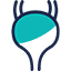 Bladder Cancer