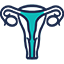 Cervical Cancer