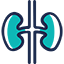 Kidney Cancer