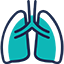 Lung Cancer