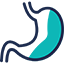 Stomach Cancer